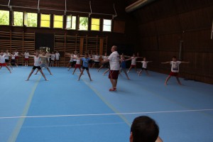 IMG 0517